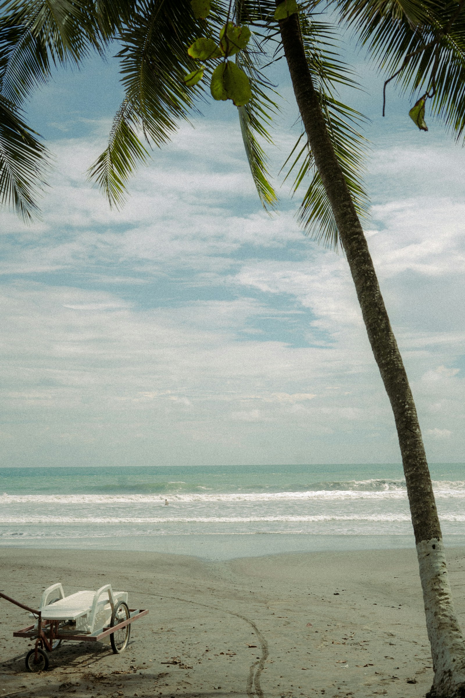 Playa tropical con palmeras, como referencia para una escapada de playa en Costa Rica.
